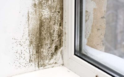 Mould prevention tips for your home