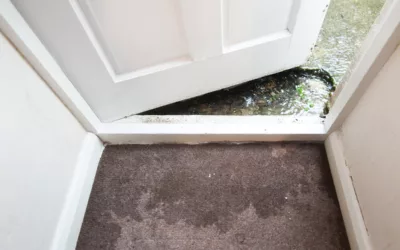 The Dangers of Water Damaged Carpet