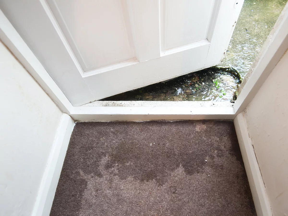 Rising flood water surrounding home entrance and penetrating the carpet.