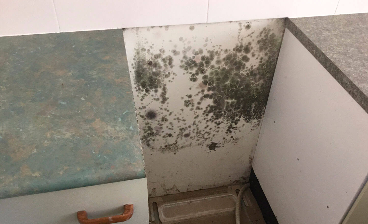 Mould and mould spores hiding behind kitchen appliances.