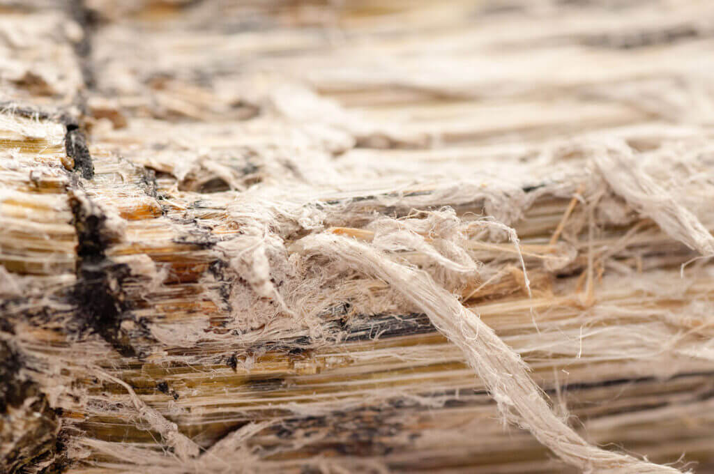 Close up of asbestos fibres.