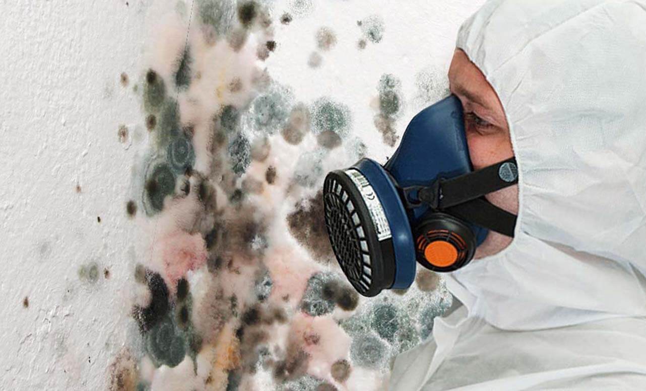 Technician Inspecting mould in PPE