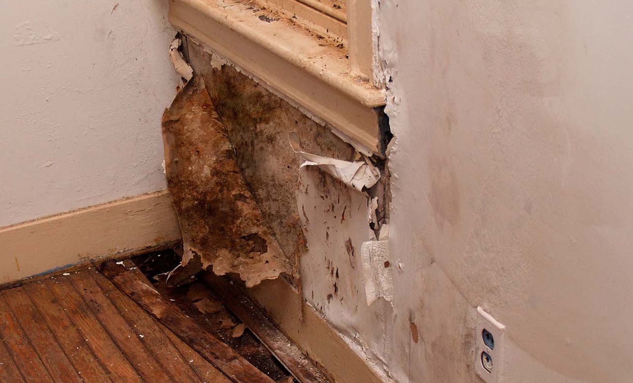 Mould Image 5