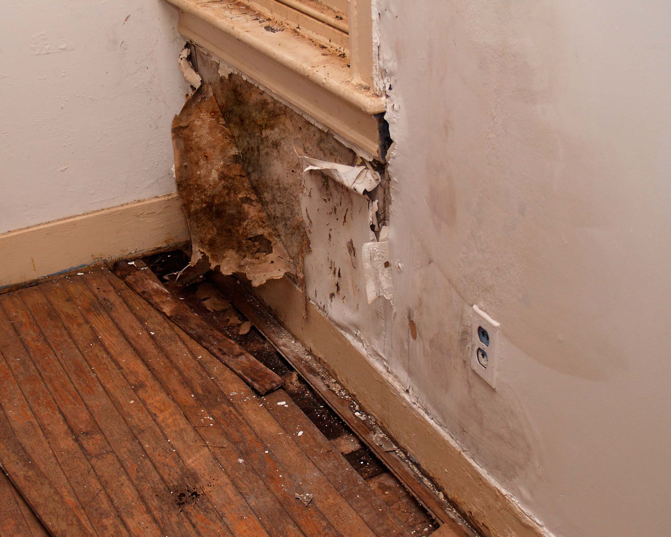 Mould Wall