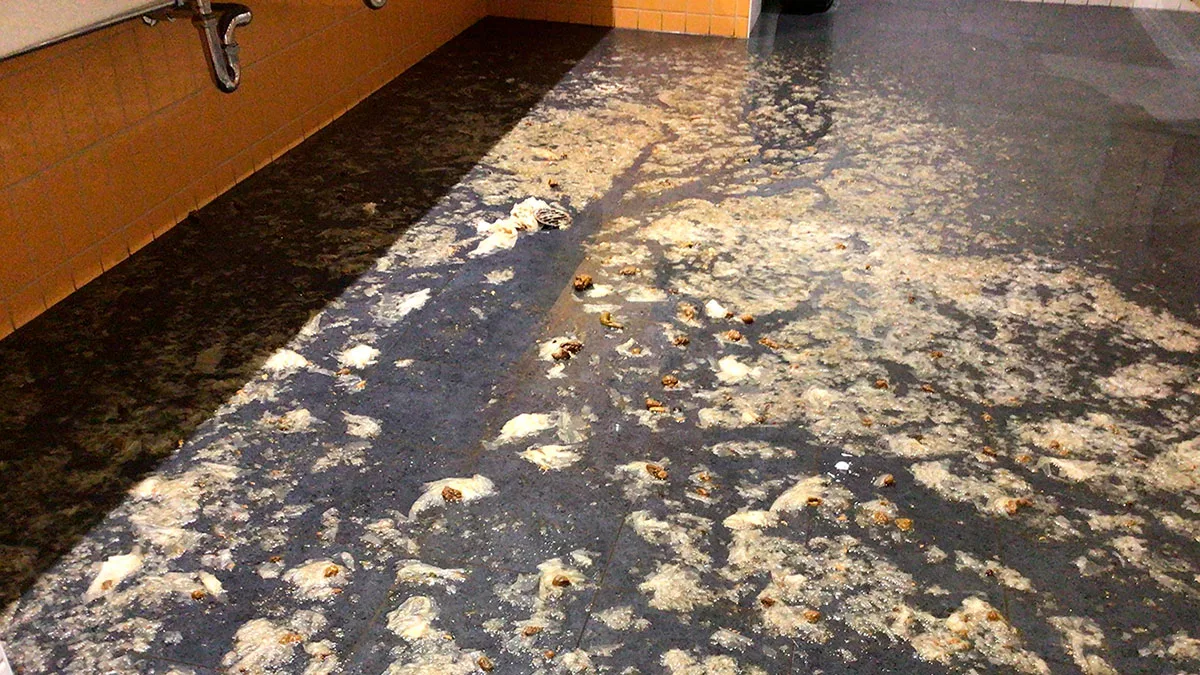 Sewage back-flow across a bathroom floor.  