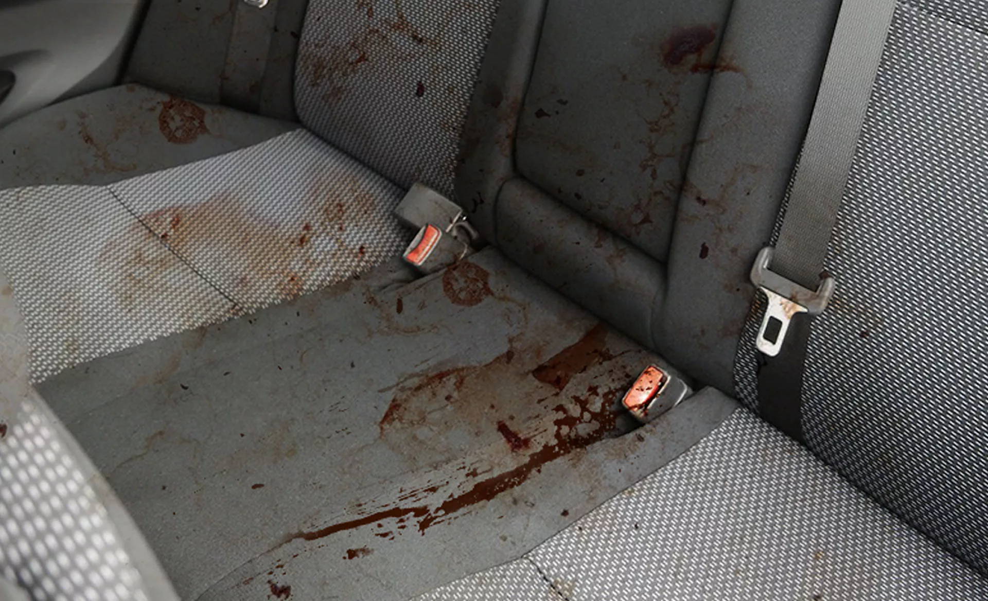Blood and bodily fluids soaking into a vehicles seats and lining.