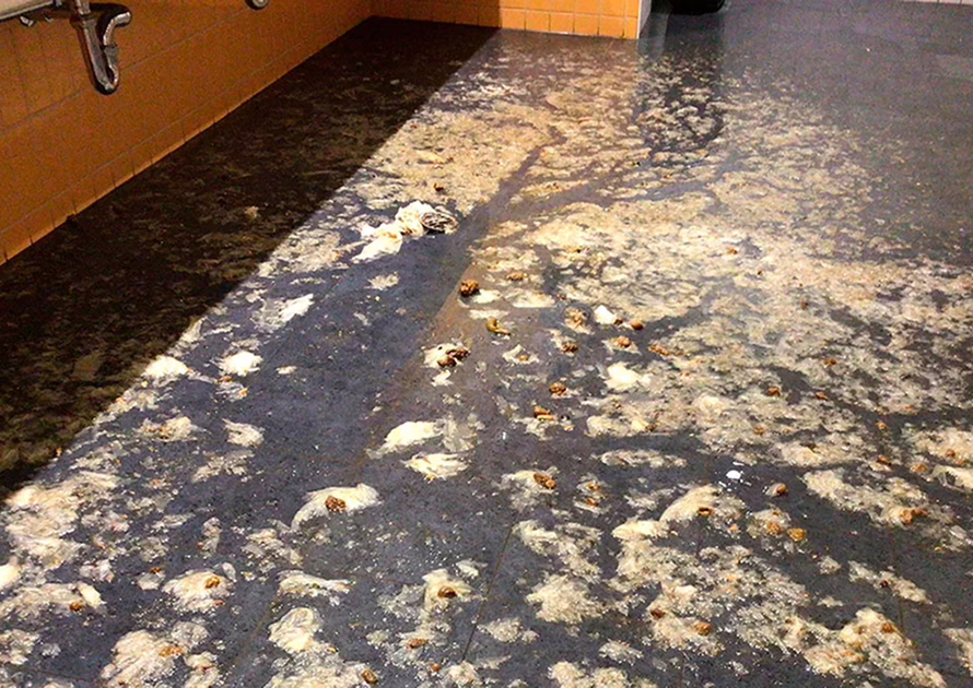 Sewage back-flow across a bathroom floor.