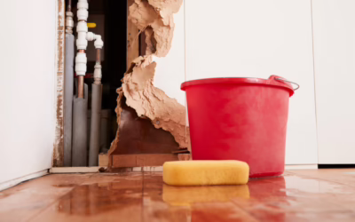 Why Juvenaire Treats Water Damage as an Emergency