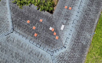 What could be hiding on your roof?
