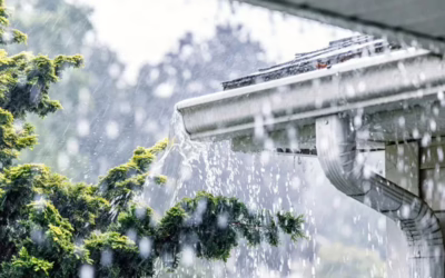 Preparing for the Wet Season: How Clear Gutters Can Help Prevent Costly Water Damage